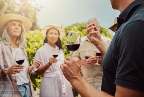 4 Personen bei einer Weinverkostung auf einem Weinberg an einem sonnigen Tag